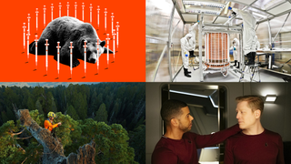 <i>Avengers: Endgame</i>, Dark Matter, and a Fake Bear Not Named Ron: Best Gizmodo Stories of the Week